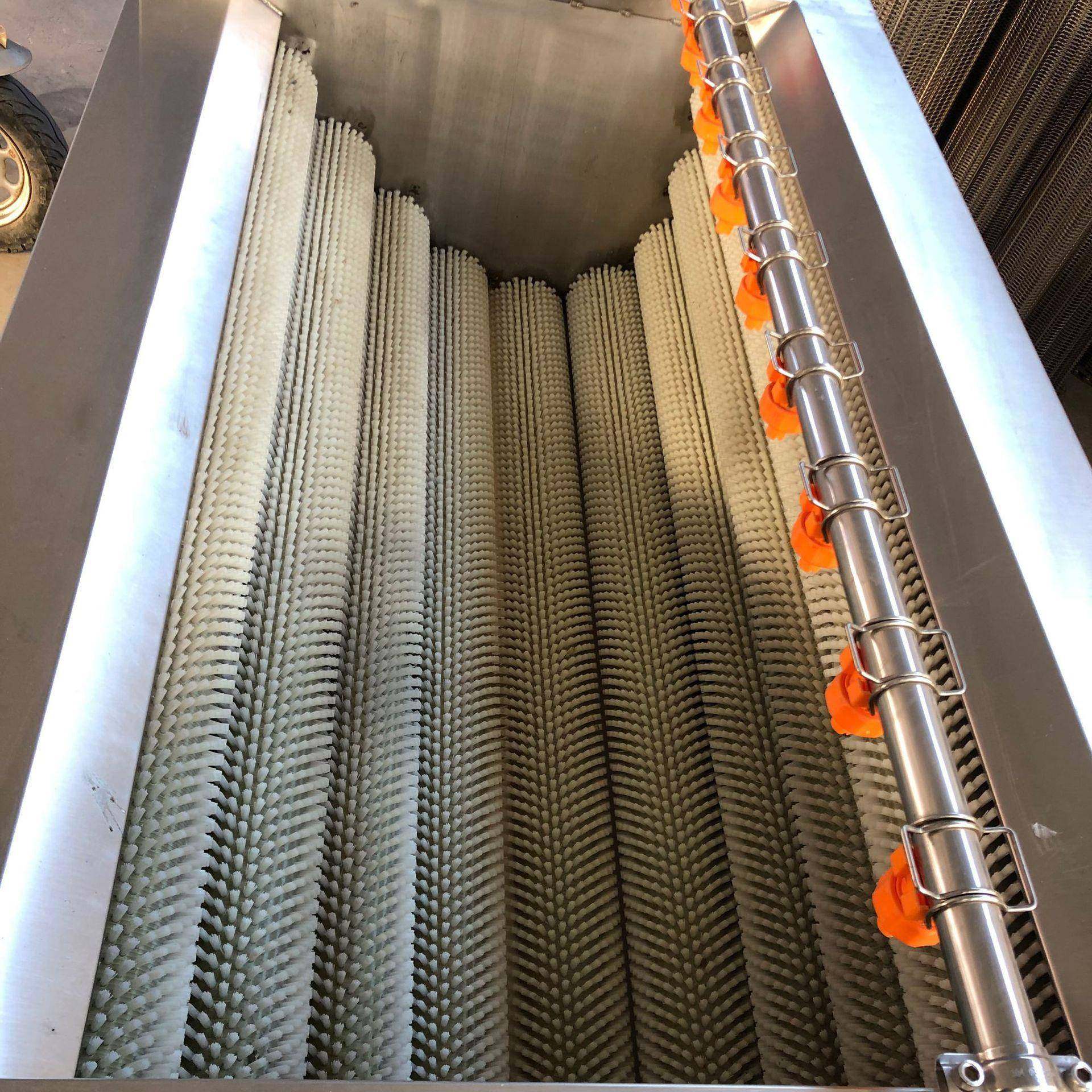 青萝卜毛刷清洗机商用阳芋清洗机预制菜加工玉藕清洗去皮一体机,淘宝优惠券,粉丝福利购,淘宝优惠卷