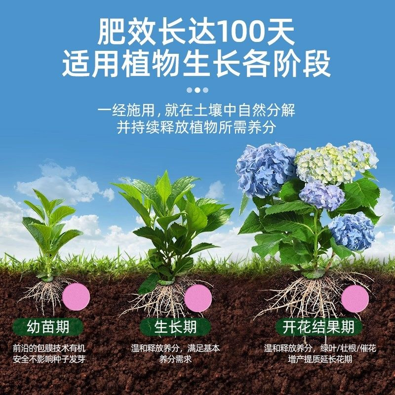 植物营养片绿植花卉肥料全效通用型家庭园艺缓释肥懒人养花营养液,淘宝优惠券,粉丝福利购,淘宝优惠卷