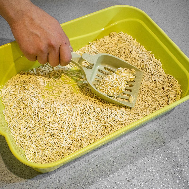 猫砂盆简易大号半封闭式猫咪上厕所可爱幼猫猫盆宠物用品直销厂家 - 图2