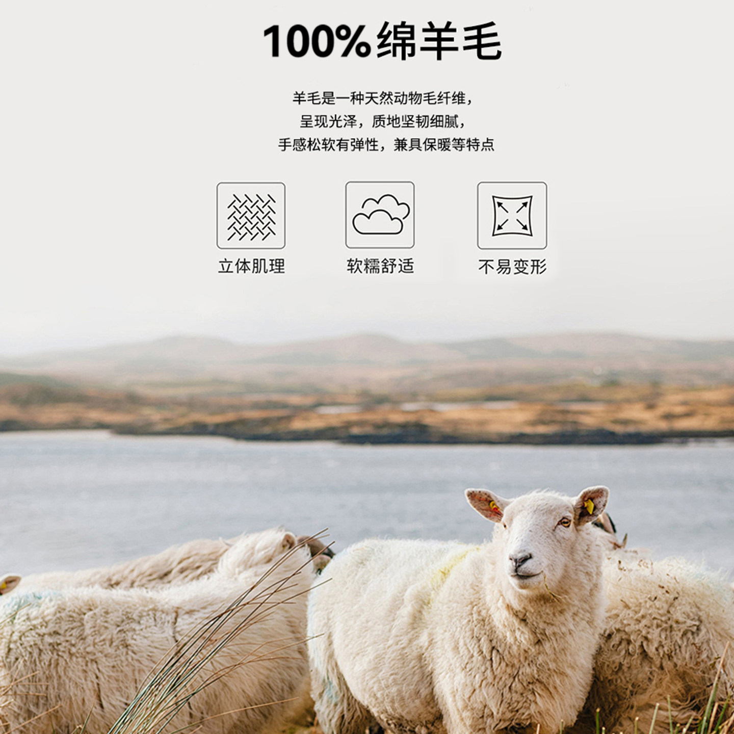 【100％纯绵羊毛】猫人提花半高领羊毛衫男款打底针织衫保暖毛衣