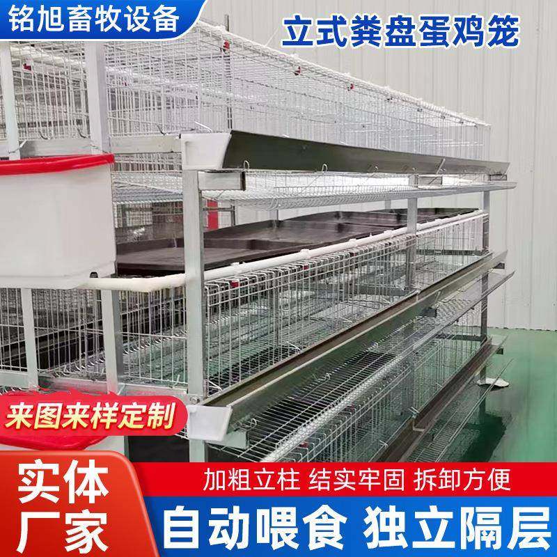 立式粪盘蛋鸡笼三层四层自动清粪养鸡笼镀锌材质层叠式设计肉鸡笼,淘宝优惠券,粉丝福利购,淘宝优惠卷