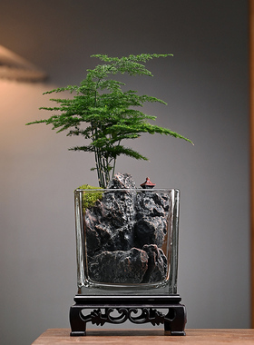 生态瓶苔藓微景观桌面盆栽青苔造景绿植物闷养鱼缸办公室水培摆件