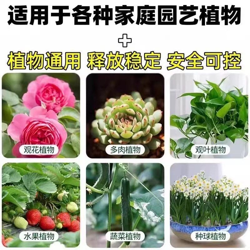 植物营养棒缓释肥料盆栽花卉家用懒人养花通用型长效营养液片绿植,淘宝优惠券,粉丝福利购,淘宝优惠卷