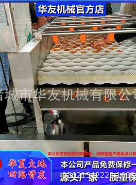 榨菜毛发去杂清洗机 去除杂草杂质 全自动玉米毛辊喷淋清洗机