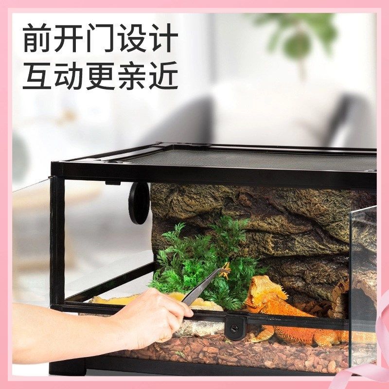 新派宠物瑞皮陆乌龟饲养箱鬃狮蜥蜴爬宠虫热带雨林生态缸,淘宝优惠券,粉丝福利购,淘宝优惠卷