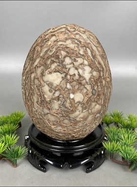 天然结核纹石蛋树皮石蛋恐龙石蛋原石摆件观赏石奇石收藏他山石头