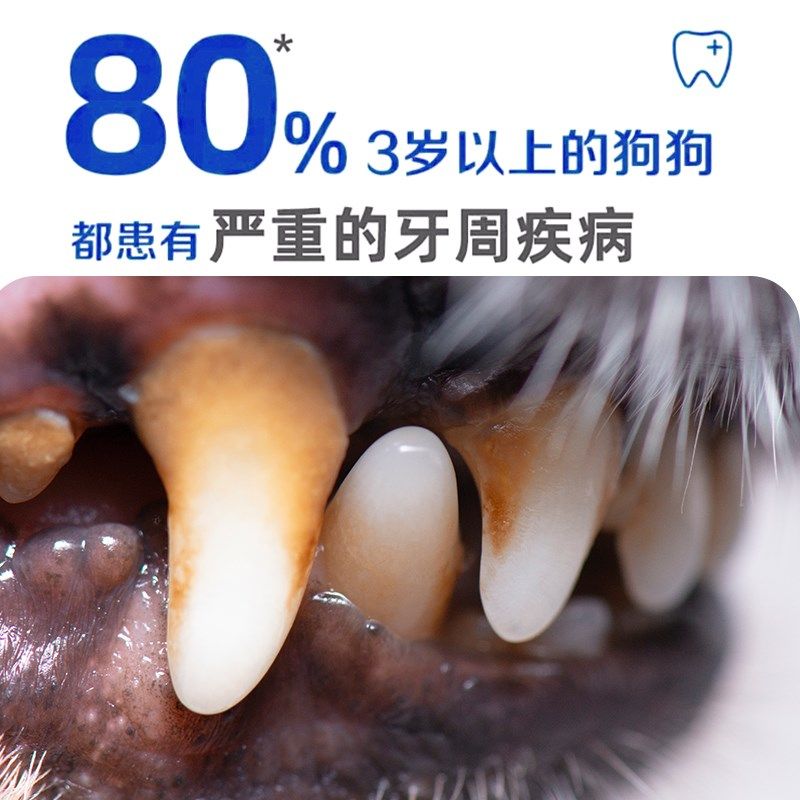 禾生禾益达宠物洁牙粉猫狗清新口气淡化牙垢牙结石替代牙膏漱口水,淘宝优惠券,粉丝福利购,淘宝优惠卷