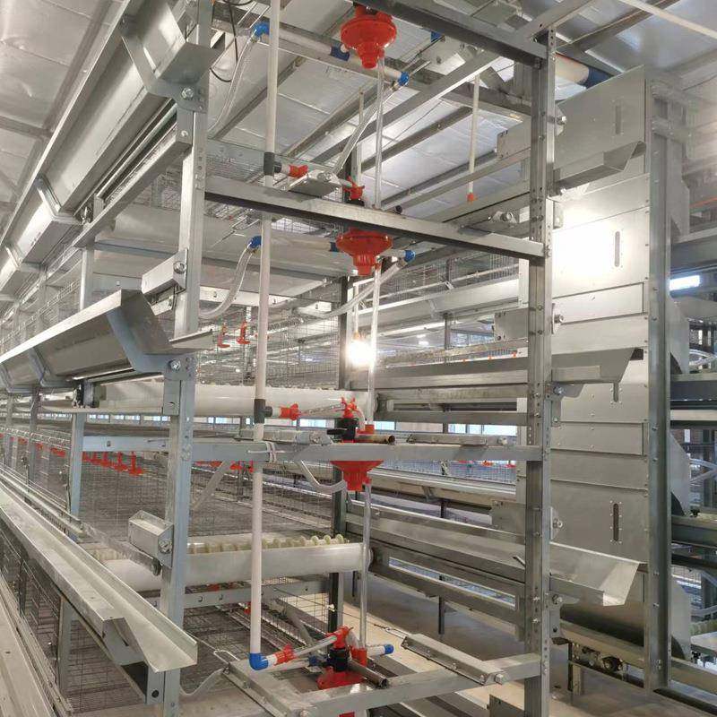 镀锌鸡笼全自动青年鸡笼层叠立式青年鸡笼设备自动一体化清粪笼,淘宝优惠券,粉丝福利购,淘宝优惠卷