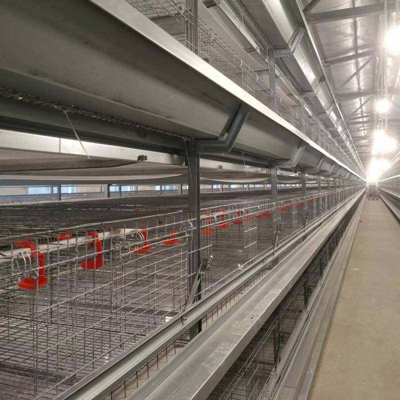 镀锌鸡笼全自动青年鸡笼层叠立式青年鸡笼设备自动一体化清粪笼,淘宝优惠券,粉丝福利购,淘宝优惠卷