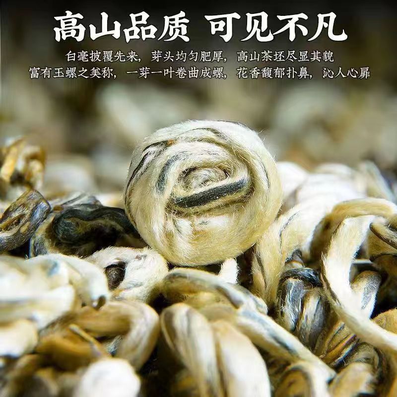 2024新茶特级茉莉花茶浓香型茉莉玉螺王广西横县白玉螺茶叶罐装 - 图1