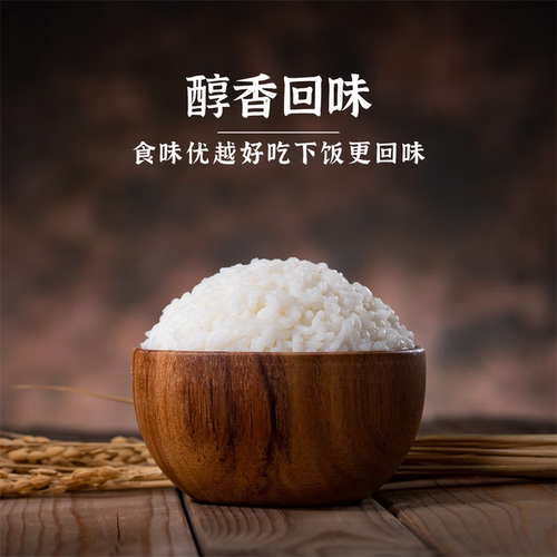 盘泽园盘锦蟹田米1斤装大米500g圆粒珍珠米当季新米东北大米一斤 - 图0