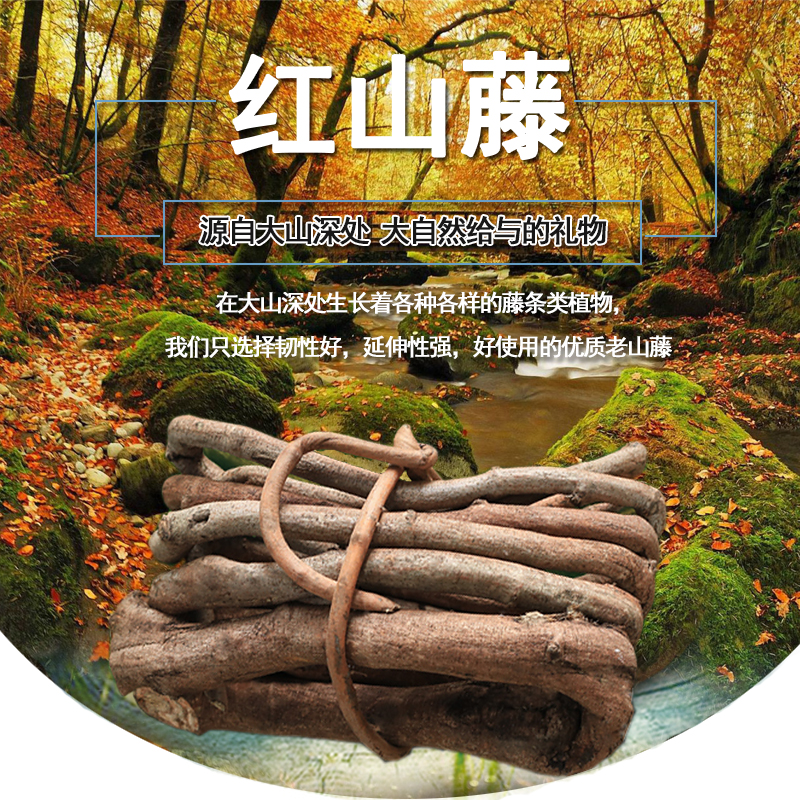 仿真绿植假树叶爬山虎树藤枯藤室内大型树吊顶植物墙装饰藤条藤蔓 - 图1