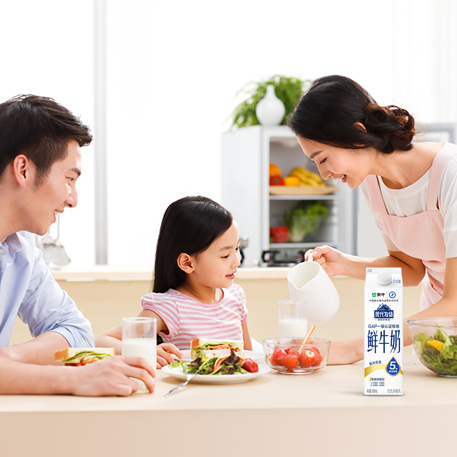 蒙牛鲜牛奶现代牧场屋顶包960ml*1盒+鲜奶185ml*11瓶