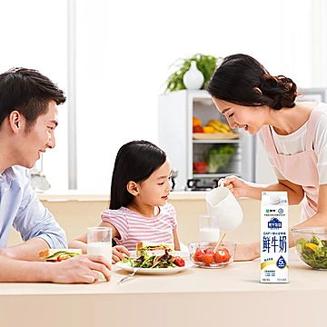 蒙牛鲜牛奶现代牧场960ml*1盒+185ml*11瓶[5元优惠券]-寻折猪