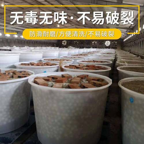食品级塑料水桶全新加厚牛筋周转桶无盖腌菜发酵圆桶胶桶 - 图0