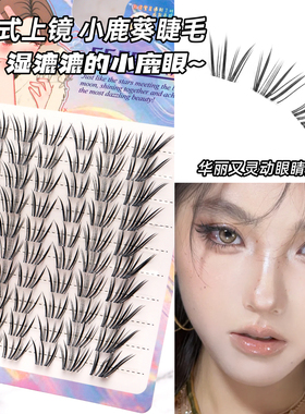 【小鹿葵】丝丝小姐法式假睫毛夏日韩系网感ins自然浓密单簇仿真