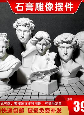 大卫琴女维纳斯小石膏雕像素描写生摆件美术画室常用婚庆舞台装饰