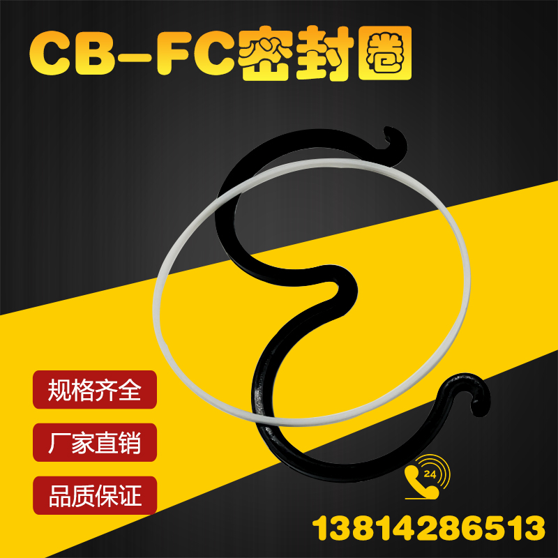 液压油泵密封圈CB-FC齿轮泵密封件垫片胶圈O型圈3字形修理包 - 图2