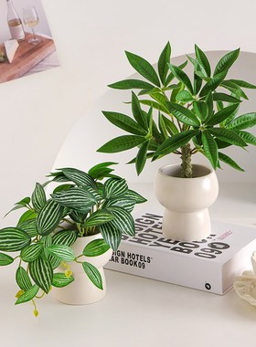 仿真绿植摆件小型客厅室内茶几盆栽电视柜桌面仿生植物假花高级感