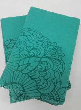 绿色封面英文装饰书可翻阅外文真书书柜样板房酒店咖啡厅摆件