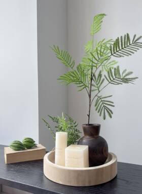 侘寂风绿植软装造景套餐木质托盘花盆桌面装饰摆件玄关圆形果盘