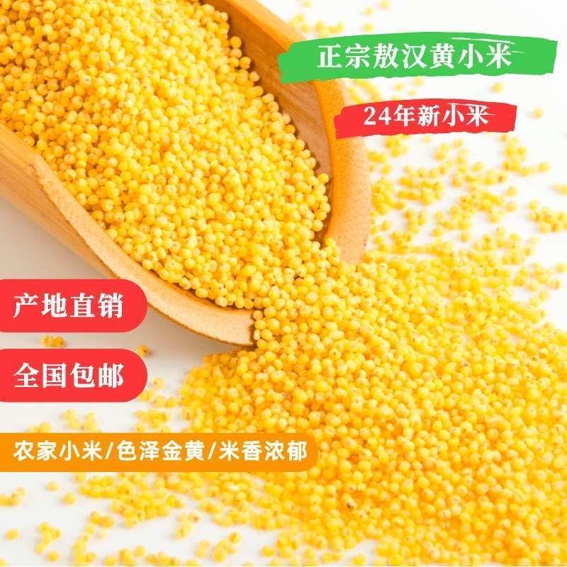 敖汉小米5斤2024年新米内蒙特产农家小米杂粮营养食用黄小米 - 图0