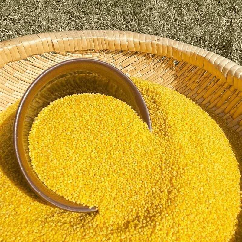 敖汉小米5斤2024年新米内蒙特产农家小米杂粮营养食用黄小米 - 图1