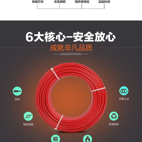 电线2.5家装国标4平方铜芯电线家用铜线1.5/6/10纯铜BV线单芯电缆 - 图2