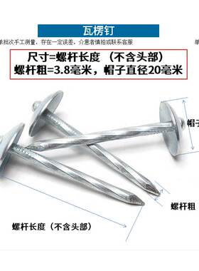 石棉瓦钉 瓦楞钉大头钉 彩钢瓦钉 图钉2寸3寸4寸 6折