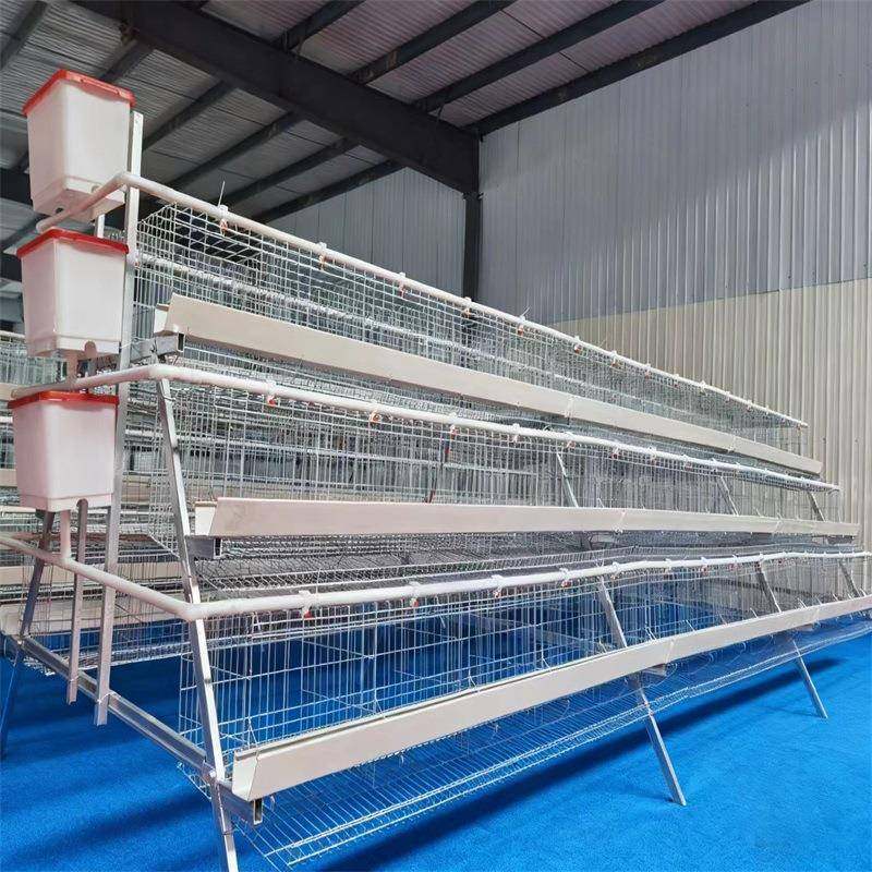 厂家供应热镀锌阶梯蛋鸡笼养殖场鸡鸭梯形鸡笼养殖鸡笼设备定制,淘宝优惠券,粉丝福利购,淘宝优惠卷
