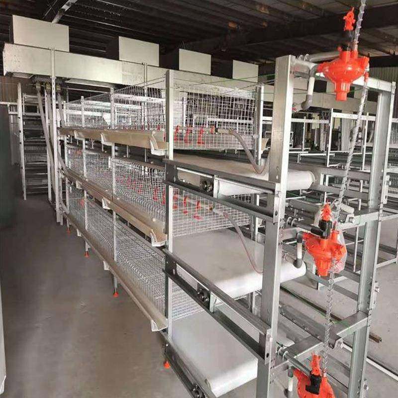 全自框架肉鸡笼鸡舍养殖场养鸡肉鸡笼多层叠立式自动清粪肉鸡笼,淘宝优惠券,粉丝福利购,淘宝优惠卷