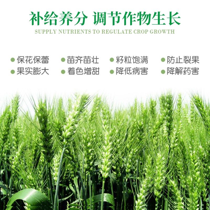 钙镁锌硼锰铁硒硅磷钾叶面肥微量元素辣椒番茄草莓保保果肥,淘宝优惠券,粉丝福利购,淘宝优惠卷