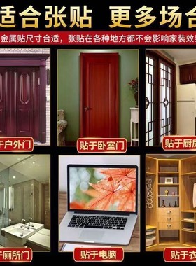 狮咬剑隐形贴解门对电梯上下楼梯镜子对阳台窗户外有墙角马路兽头