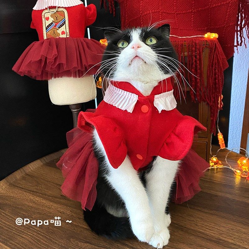 猫咪狗狗新年可牵引衣服宠物秋冬红桃皇后蓬蓬连衣裙泰迪比熊英短,淘宝优惠券,粉丝福利购,淘宝优惠卷