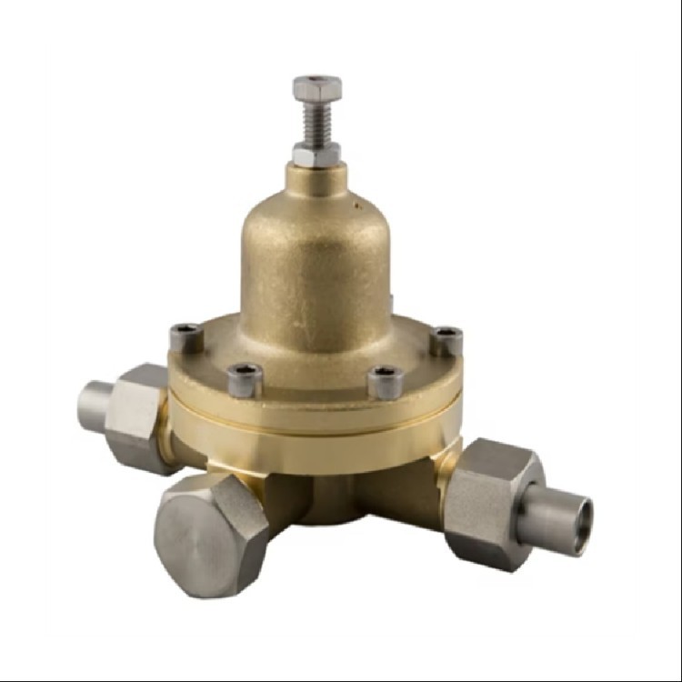 意大利boscarol易维护低温阀CRIO 300工业压力控制 - 图3