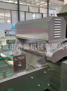香煎薄脆油炸全自动生产线燃气加热面片儿油炸加工线酥饼油炸线