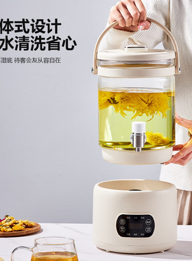 110V美规220欧规养生壶跨境家用3