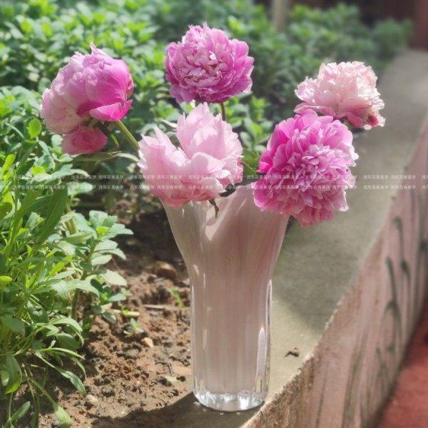 奶橙色珠光小巧自由白菜造型手工玻璃花瓶水养插花器家居装饰摆件,淘宝优惠券,粉丝福利购,淘宝优惠卷