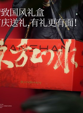 BANSHAN东方山水流水植物雨林缸家居网红小众摆件送领导解压送礼