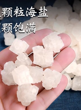 粗盐净宅御守盐摆件大粒海盐原盐搬家结婚乔迁新居卫生间厕所容器