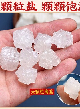 粗盐净宅御守盐摆件大粒天然海盐搬家结婚乔迁新居卫生间厕所消磁
