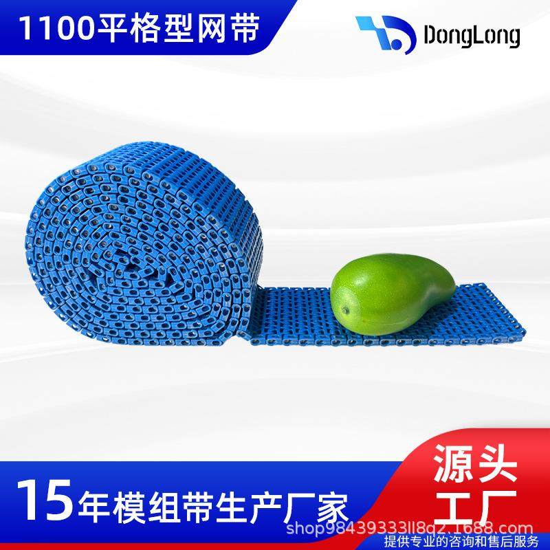 出口1100系列平板塑料链板输送带 POM网带 PP模组带塑料模块带,淘宝优惠券,粉丝福利购,淘宝优惠卷