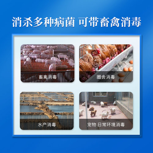 过硫酸氢钾消毒剂兽用复合物粉小养猪场消毒液养殖场专用非瘟猪药 - 图0