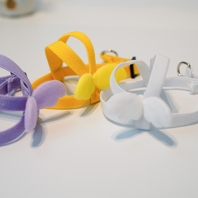 鸟用鹦鹉放飞绳玄凤虎皮牡丹牵引绳飞行外出背带遛鸟神器用品玩具,淘宝优惠券,粉丝福利购,淘宝优惠卷