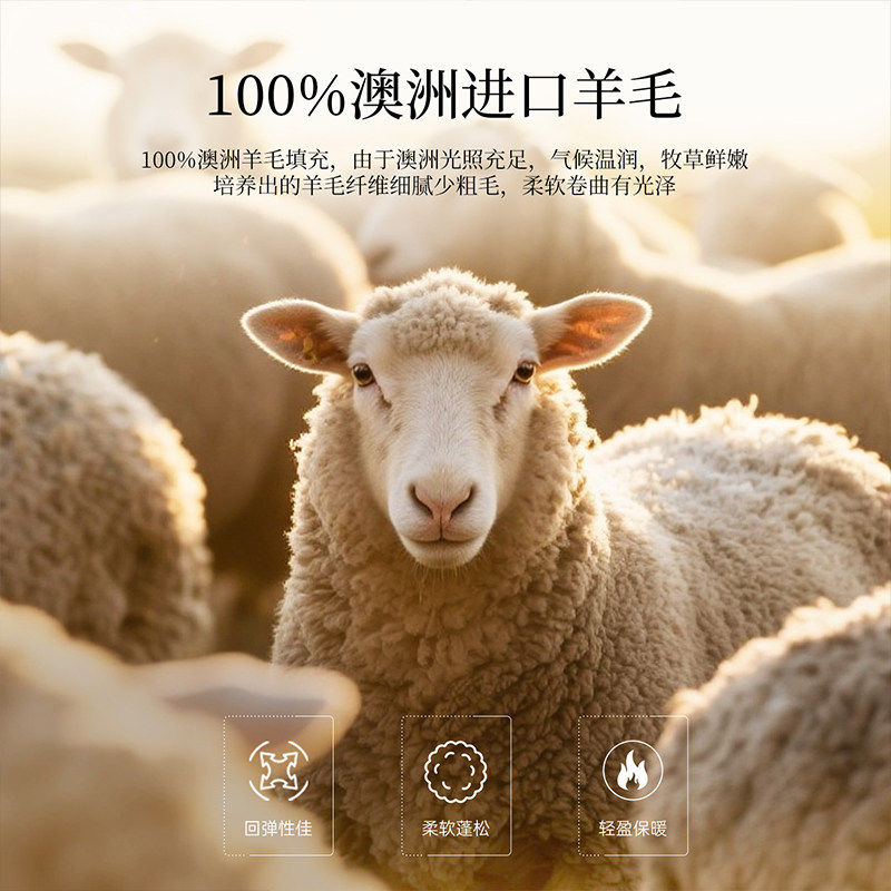 澳洲羊毛被100纯羊毛被子冬被棉被加厚保暖冬季进口羊绒驼绒被芯