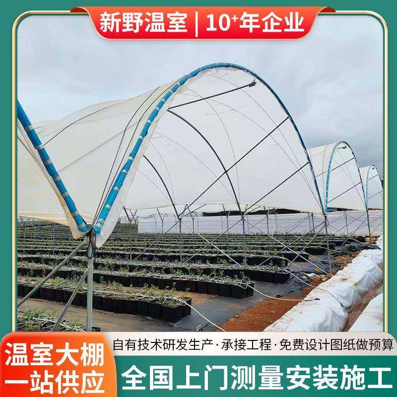 简易蓝莓避雨棚新野承接温室大棚厂家葡萄樱桃种植棚采光良,淘宝优惠券,粉丝福利购,淘宝优惠卷
