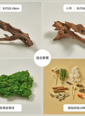 天然沉木造景 枯木拍照道具树枝木头装饰静物摄影陈列摆代发包邮