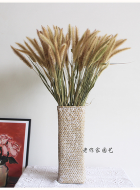 干花狗尾巴草软装材料摆u放花卉场景布置质朴天然植物天然干花束