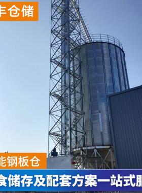 玉米小麦粮食风干仓储存钢板仓 1000吨大豆筒仓