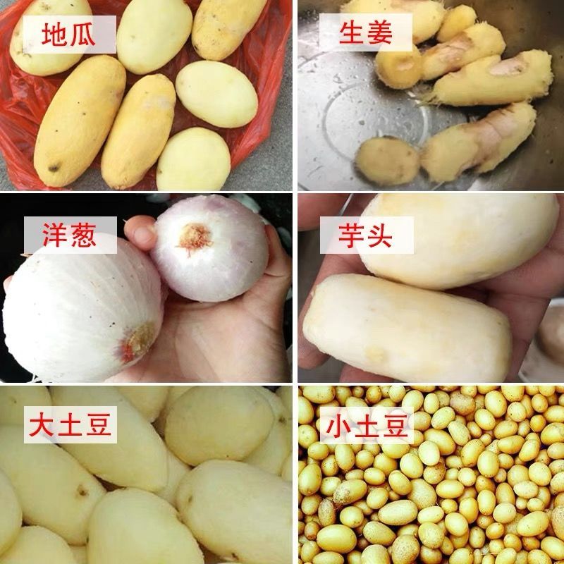 土豆去皮机商用全自动洋芋头清洗脱皮机不锈钢家用地瓜洋葱削皮机 - 图3